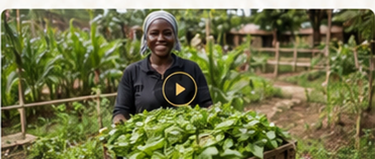 Community Resilience and Recovery